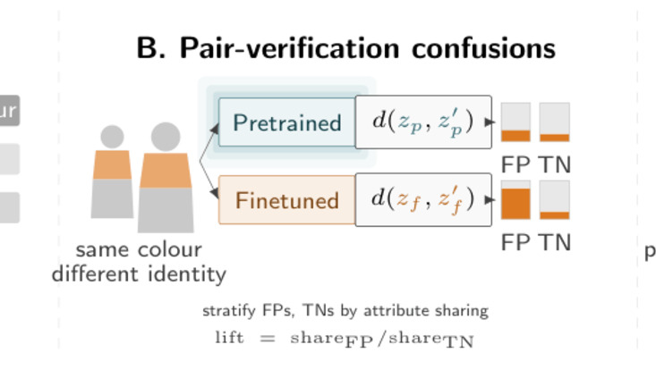 graphic showing different failure modes in person reidentification training, cropped to the center
