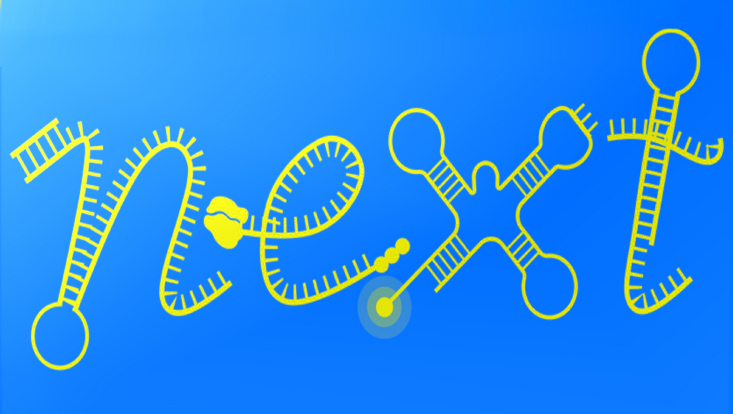 Logo/Symbol nEXt-RNA project