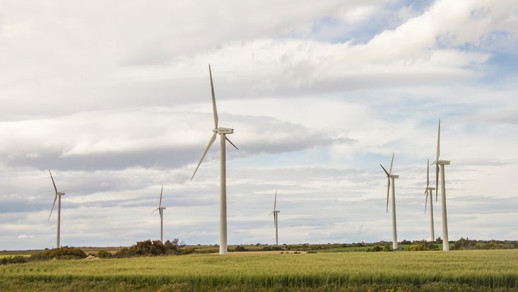 wind turbines at agricultural land