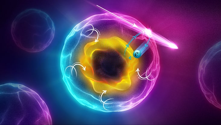 Wissenschaftliche Illustration