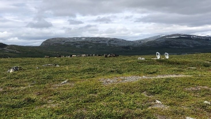 Das automatische Haubensystem in der finnischen Tundra