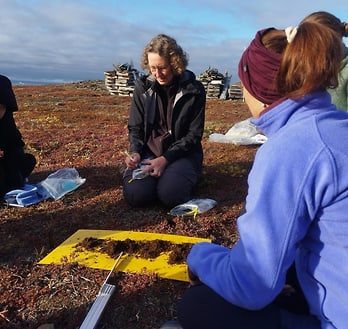Learning to describe and sample soil horizons in Kuup Ilua valley (Blaesedalen). Learning to describe and sample soil horizons in Kuup Ilua valley (Blaesedalen).