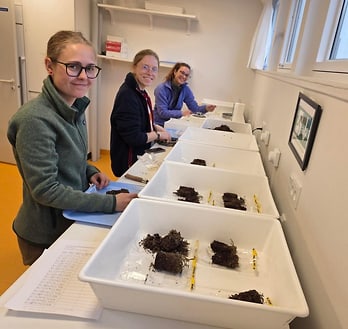 Processing soil samples in the laboratory of Arctic Station. Processing soil samples in the laboratory of Arctic Station.