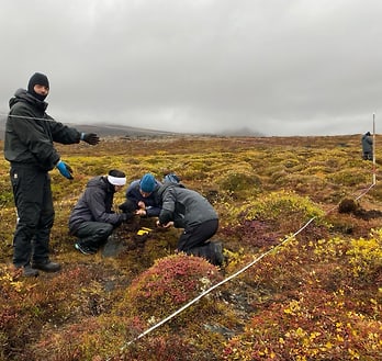 Investigating environmental controls on greenhouse gas fluxes in hummocky tundra in Kuup Ilua valley (Blaesedalen). Investigating environmental controls on greenhouse gas fluxes in hummocky tundra in Kuup Ilua valley (Blaesedalen).