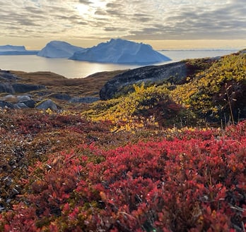 Herbstfarben in der Tundra. Herbstfarben in der Tundra.