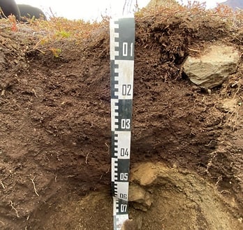 Profile of a permafrost-affected soil (Mollic Turbic Cryosol) in the Kuup Ilua valley (Blaesedalen). Profile of a permafrost-affected soil (Mollic Turbic Cryosol) in the Kuup Ilua valley (Blaesedalen).