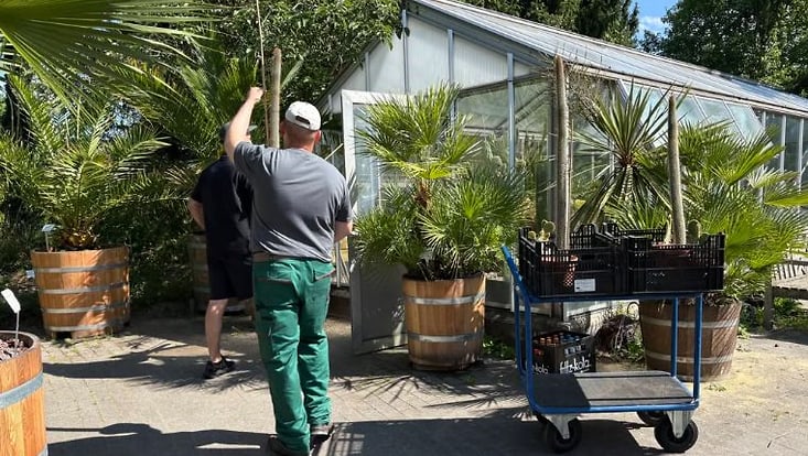 Das kleine Kakteenhaus beim Café Palme im Loki-Schmidt-Garten