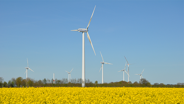 energielandschaften 2017-640x361 Windräder auf Rapsfeld