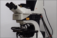 Leica TCS SPE Ansicht des Leica SPE