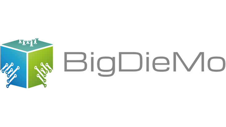 Logo BigDieMo