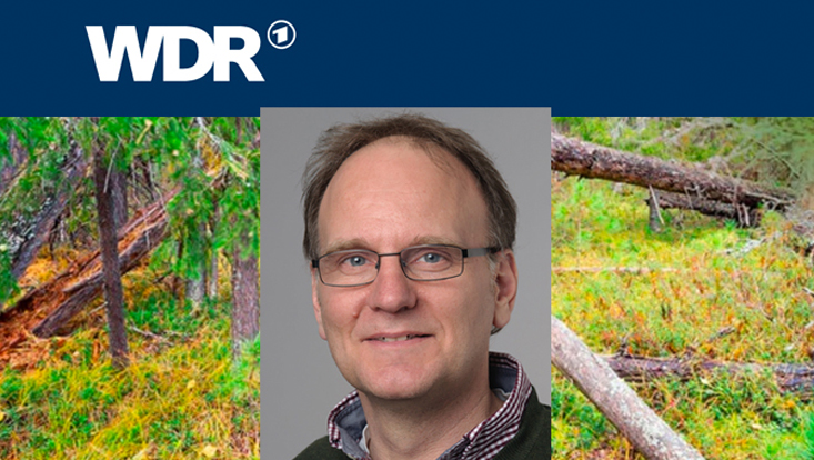 WDR