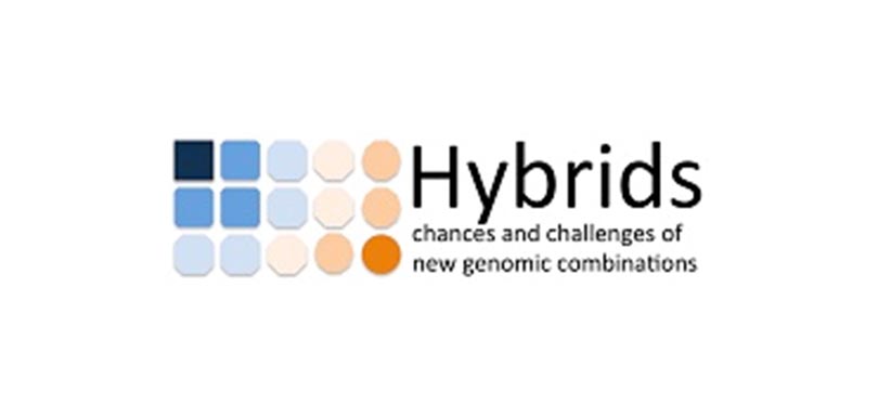 hybrids
