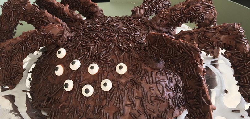 spinnenkuchen