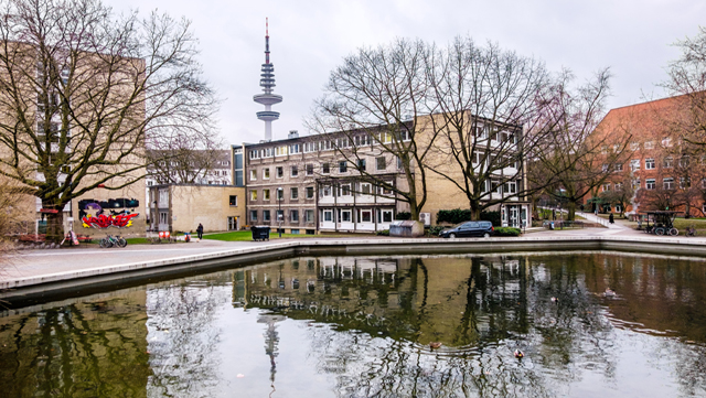 Foto vom Ententeich mit Gebäuden im Hintergrund