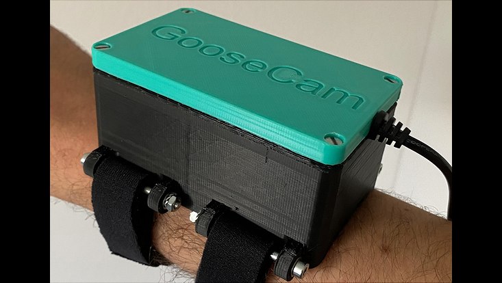 goosecam-733x414 Gänsehautkamera auf Unterarm