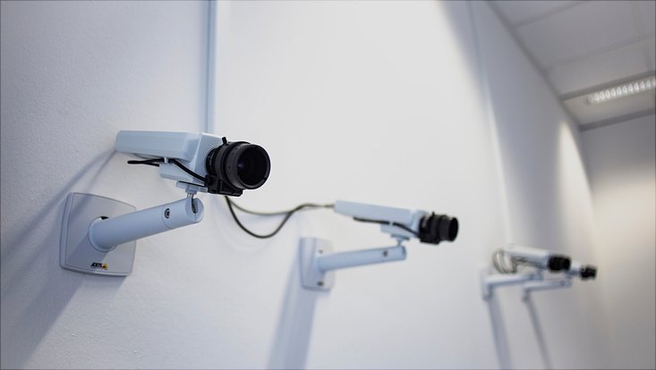 teamlab465_733x414 TeamLab