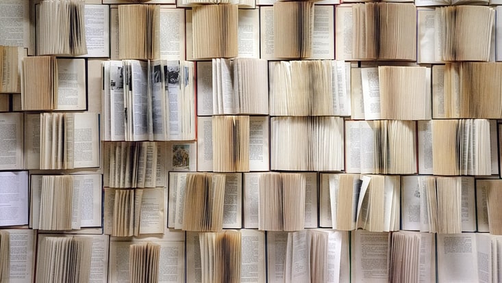 book-wall-733x414 Eine große Fläche voller aufgeklappter Bücher