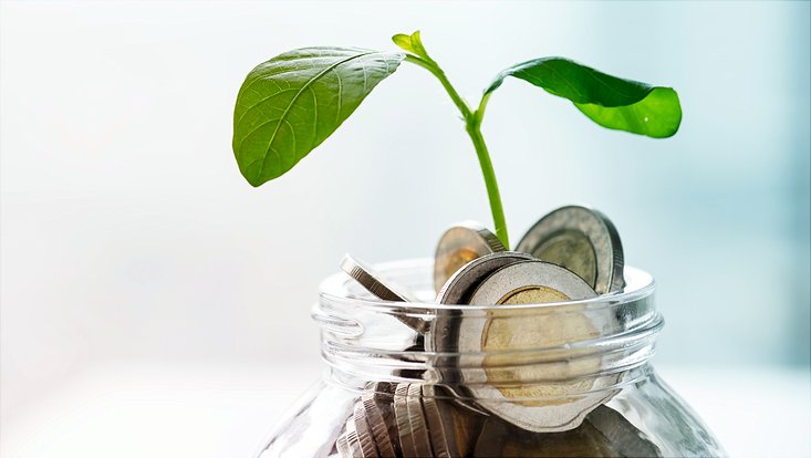 seedling-sprouting-from-coins