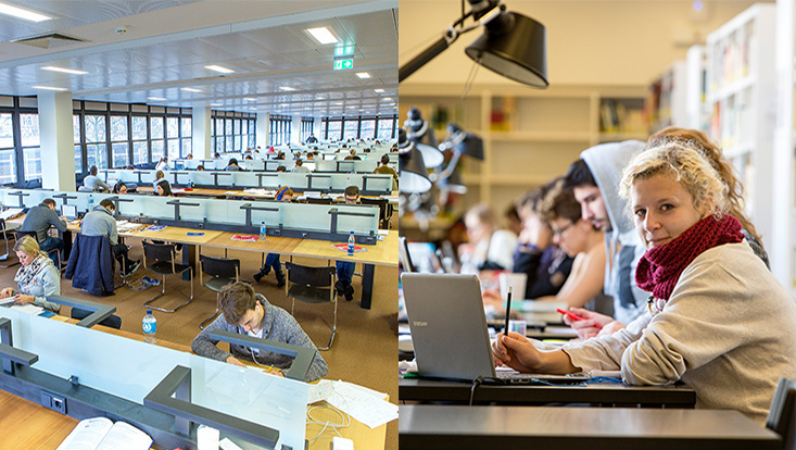Lernen und arbeiten in der Bibliothek / studying in the library Studierende, die in der Bibliothek lernen / Students studying in the library