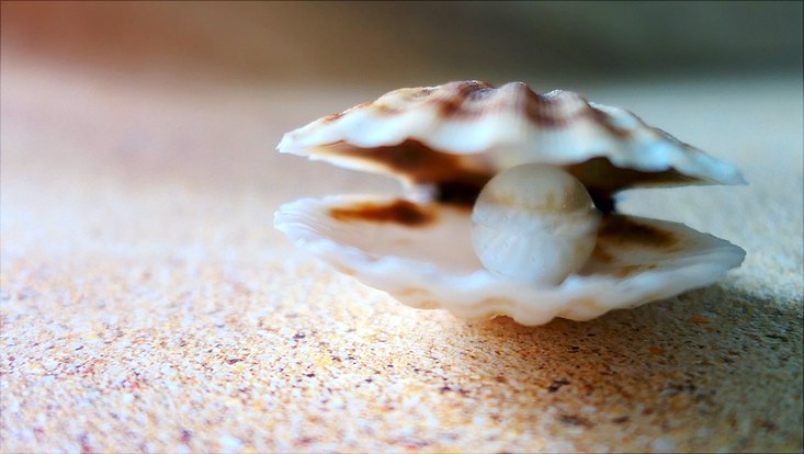 Muschel mit Perle am Strand