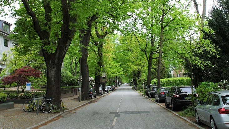 eine begrünte Strasse