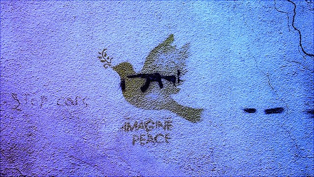 dove-unsplash-733x414-640x361 Dove graffiti tagged Imagine Peace