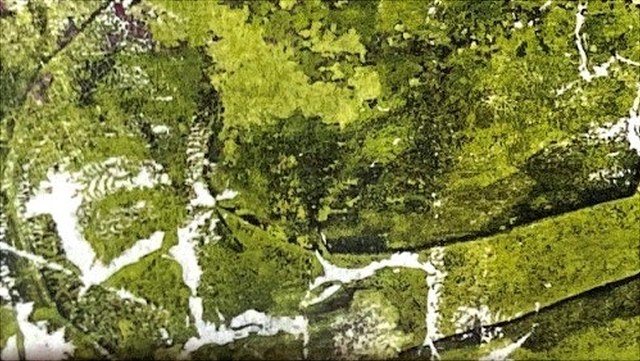 dark green and white shadows