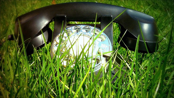 Telefon im Gras