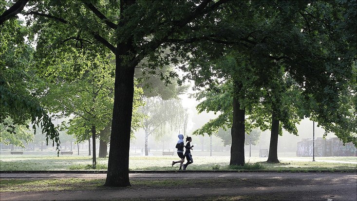 two people jogging in the park