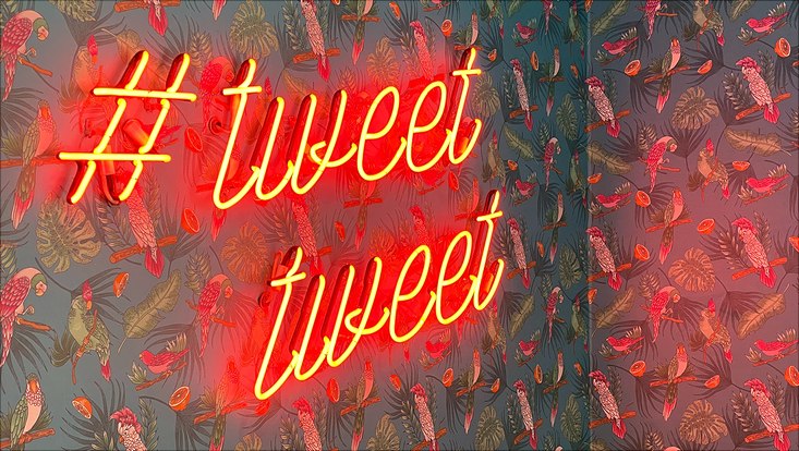 illuminated adverstising with the writing #tweet tweet in front of a wallpaper with parrots
