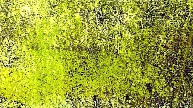 printed green leaves