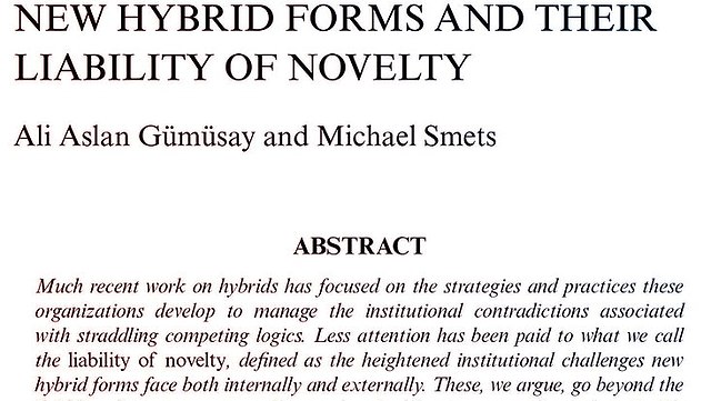 hybridity-liability-of-novelty