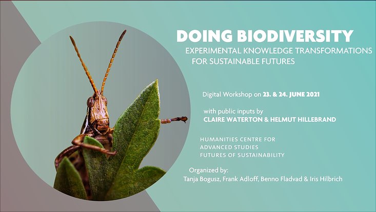 Picture of the flyer