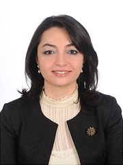 songul-cinaroglu Dieses Bild zeigt die Gastwissenschaftlerin Assoc.-Prof. Songul Cinaroglu.