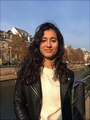 bild website merve