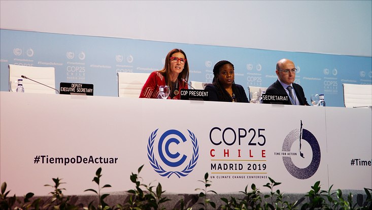 Plenary speakers of COP25
