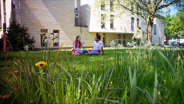 Eine weibliche und ein männlicher Studierender sitzen auf der grünen Wiese
