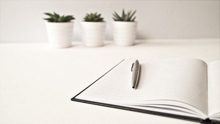Notizbuch mit Pflanzen im Hintergrund