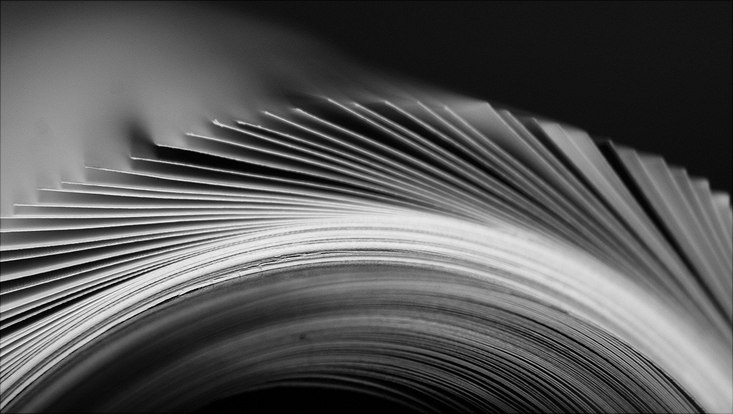 Journal