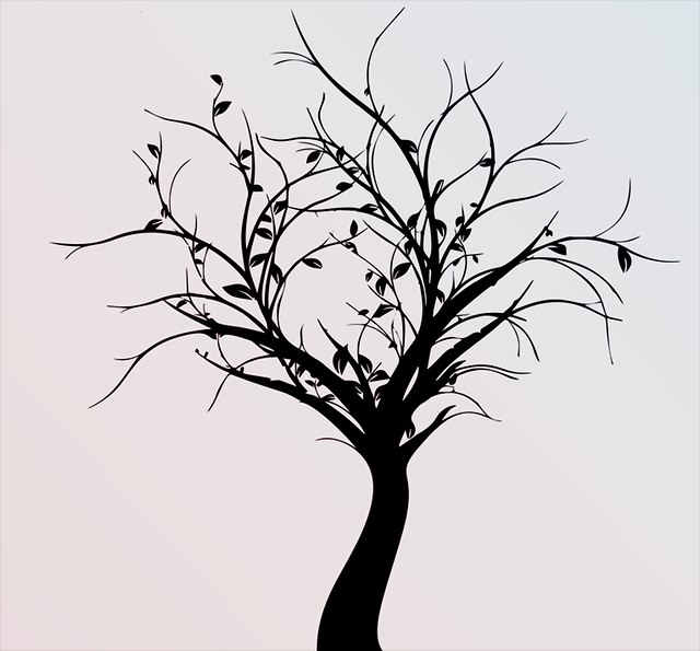 Baumschatten in Schwarz