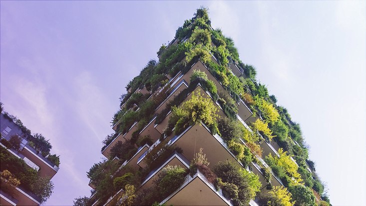Green roof