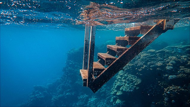 Unterwasserfoto von einer Leiter die aus dem Meer führt