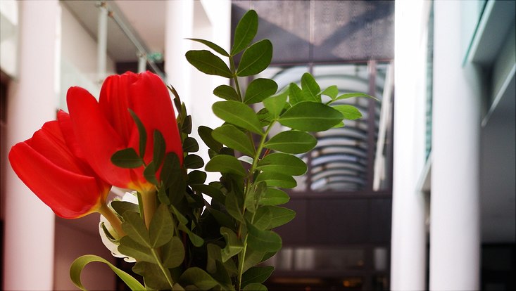 Blumenstrauß vor Lichtdecke im Foyer Esplanade 36