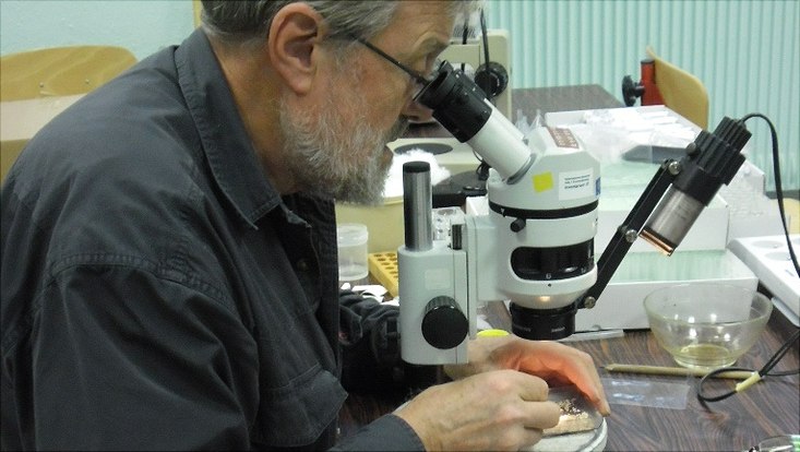 Forscher am Mikroskop