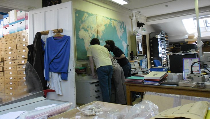 drei Forschende, die auf eine Weltkarte gucken