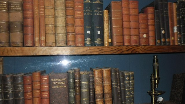 Buchrücken alter Bücher