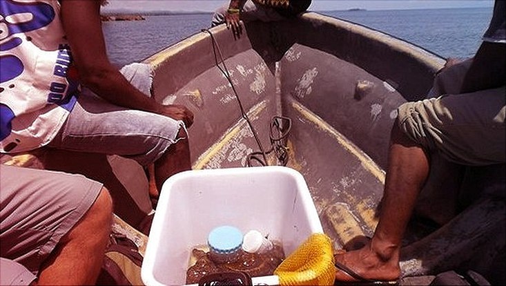 People on a boat going on a field trip