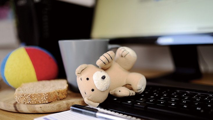 Homeoffice, Teddybär