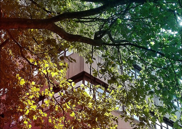 Location of the professorship, Von-Melle-Park 5