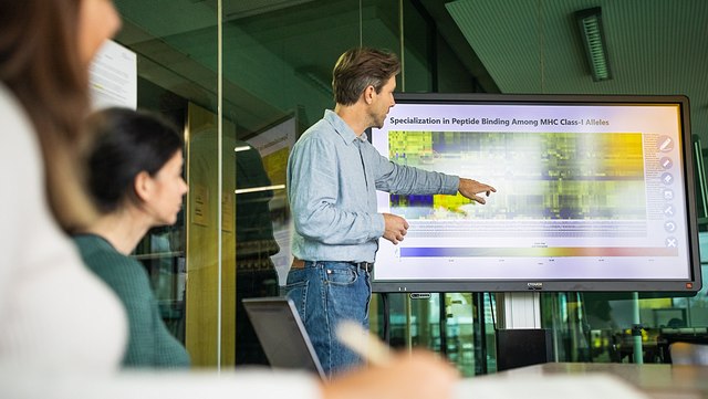 forschungsseminare-640x361 Person präsentiert Forschungsdaten an einem Smartboard